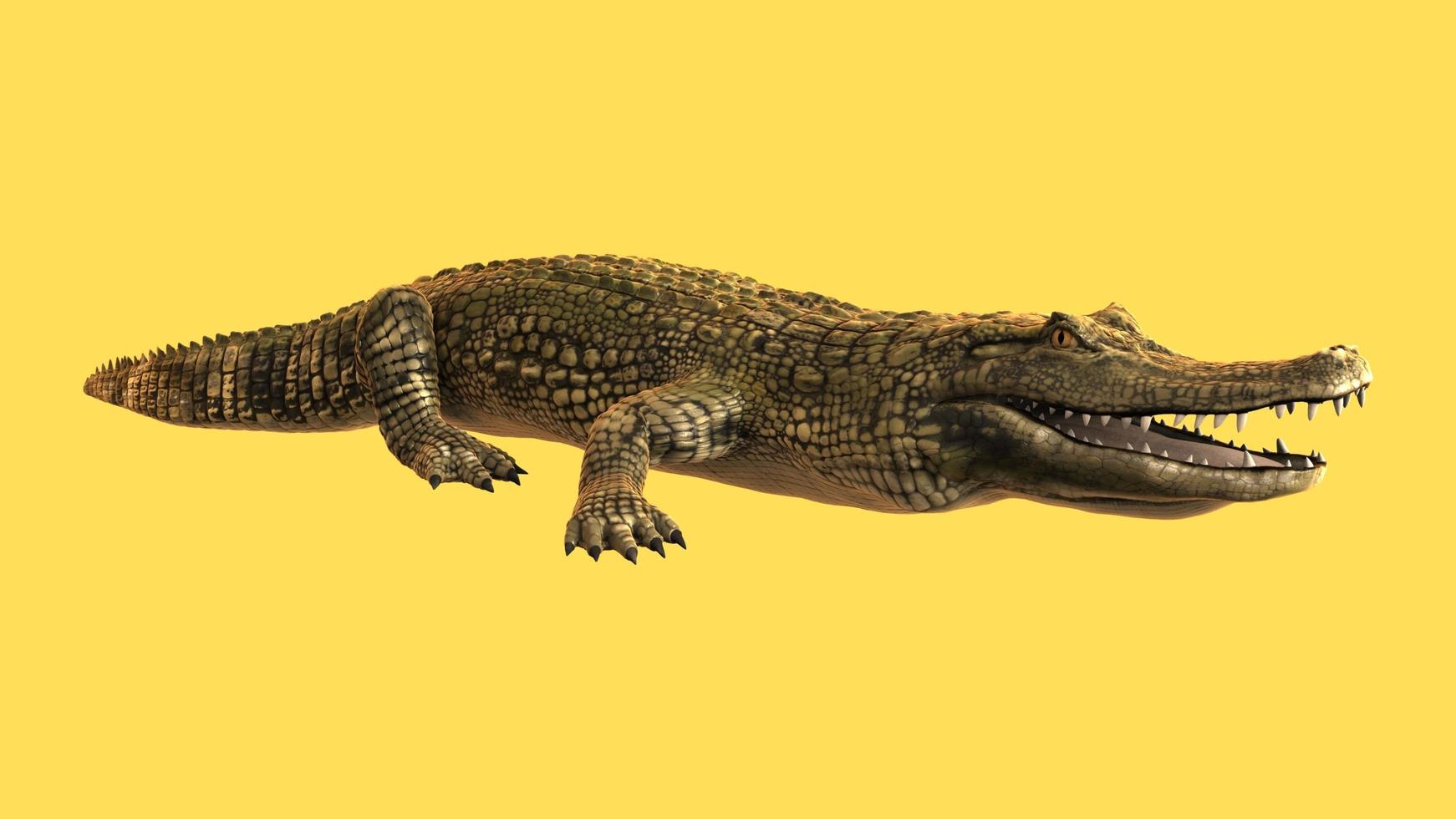 Crocodile In Yellow Background 17175969 Stock Photo at Vecteezy