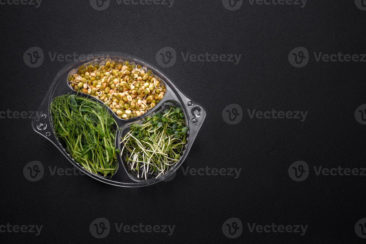 A set or mix of pea, mustard and sprouted mung bean microgreens in a portioned plastic box photo