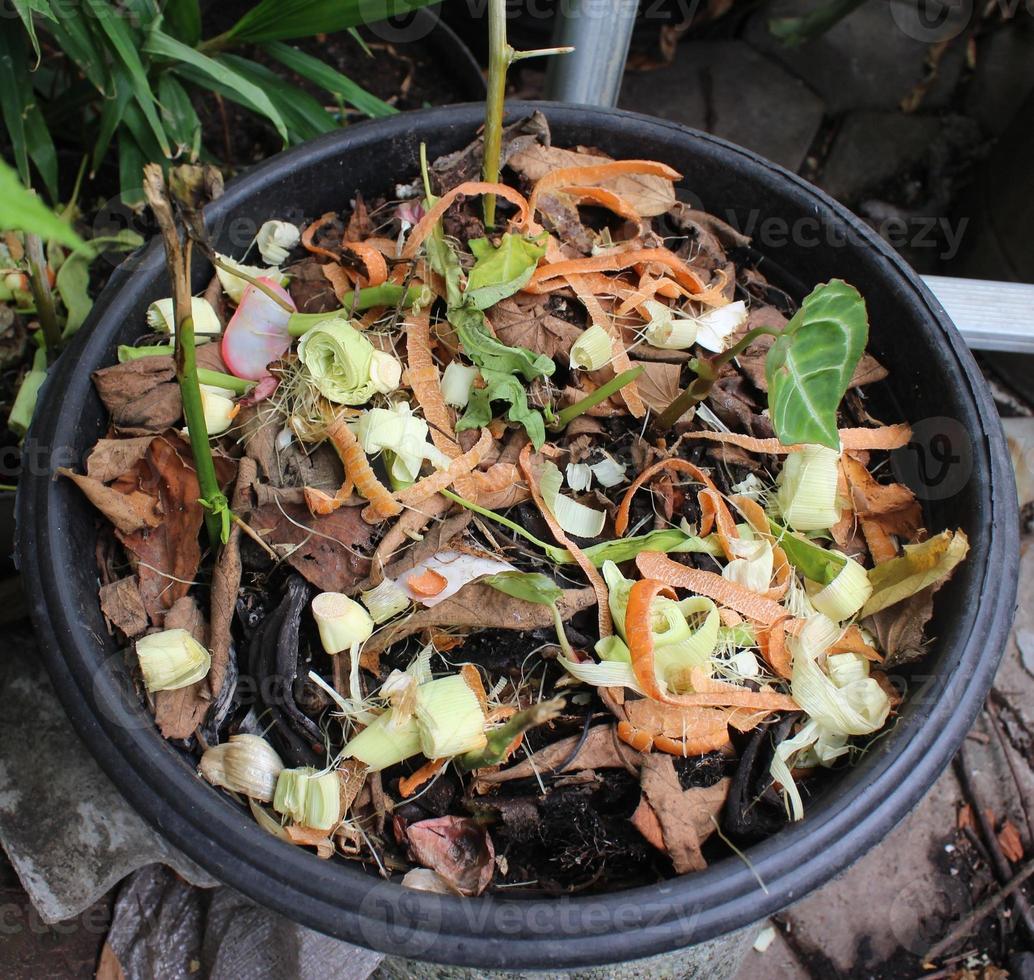 kitchen scraps composted photo