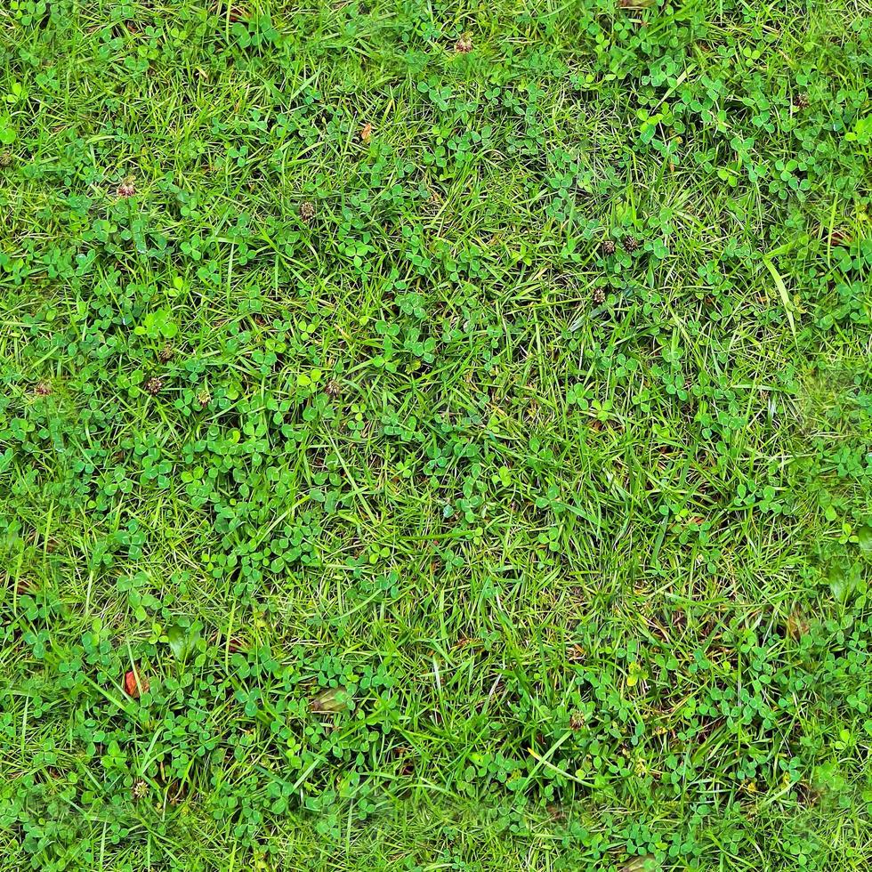 foto realista textura de hierba perfecta en contrataciones con más de 6 megapíxeles de tamaño