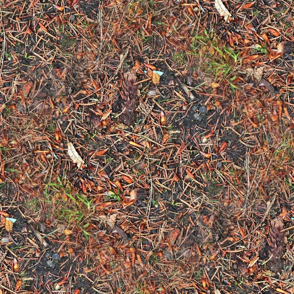 High resolution seamless texture of a forest ground with autumn leaves and nuts photo