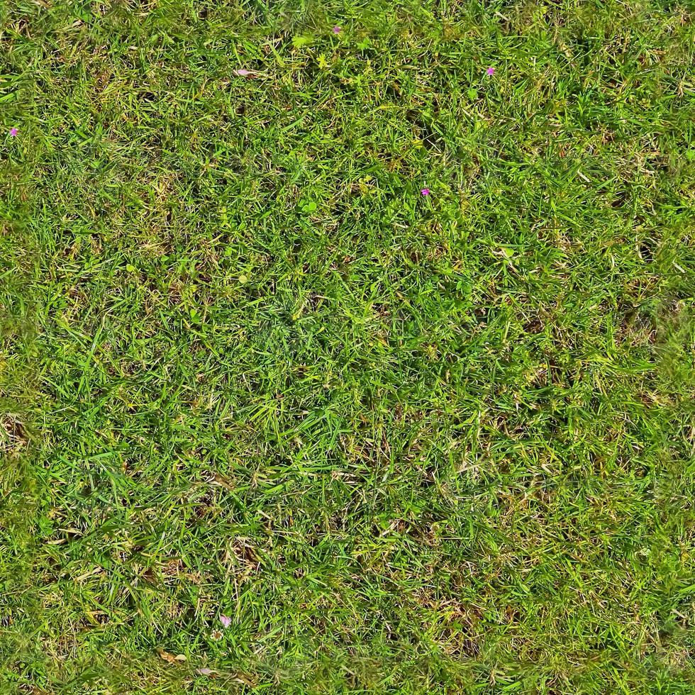 Photo realistic seamless grass texture in hires with more than 6 megapixel in size