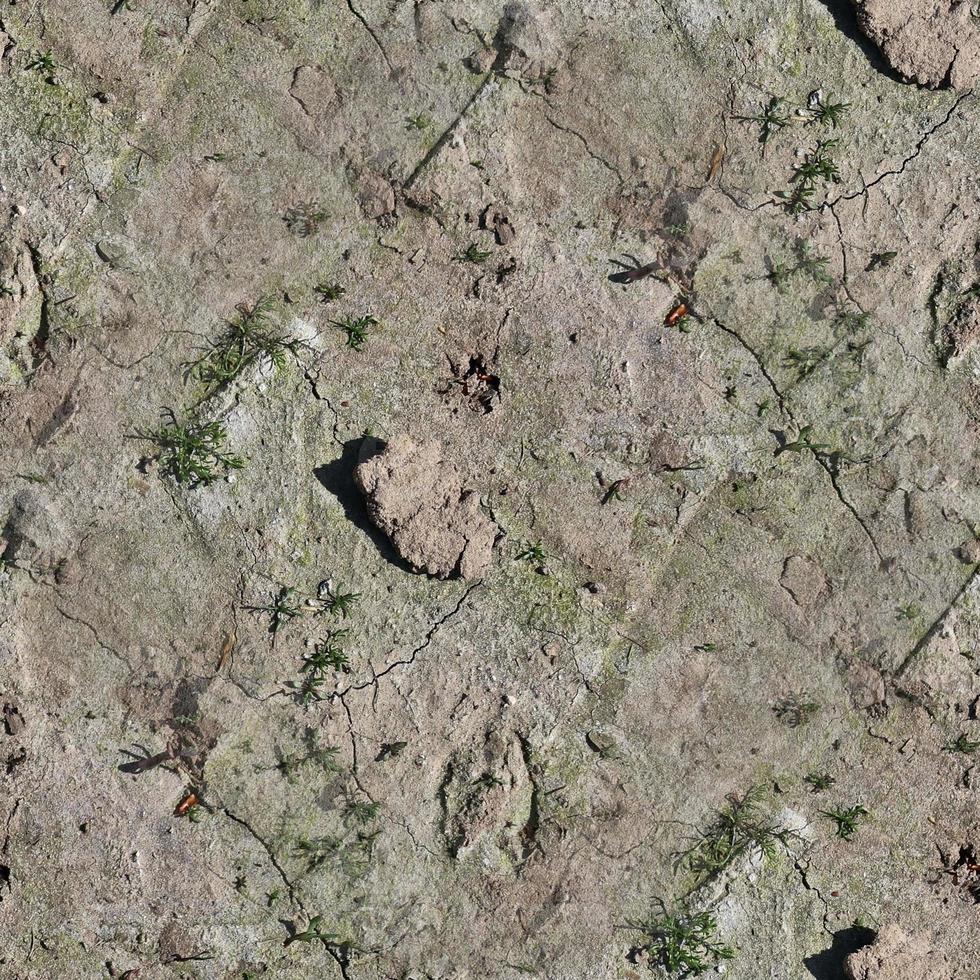 High resolution seamless texture of a dry acre grounds with cracks. photo
