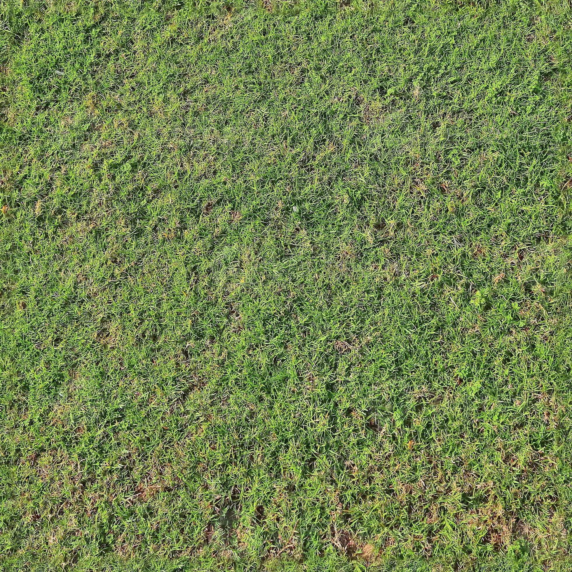 Grass Texture Hd Seamless