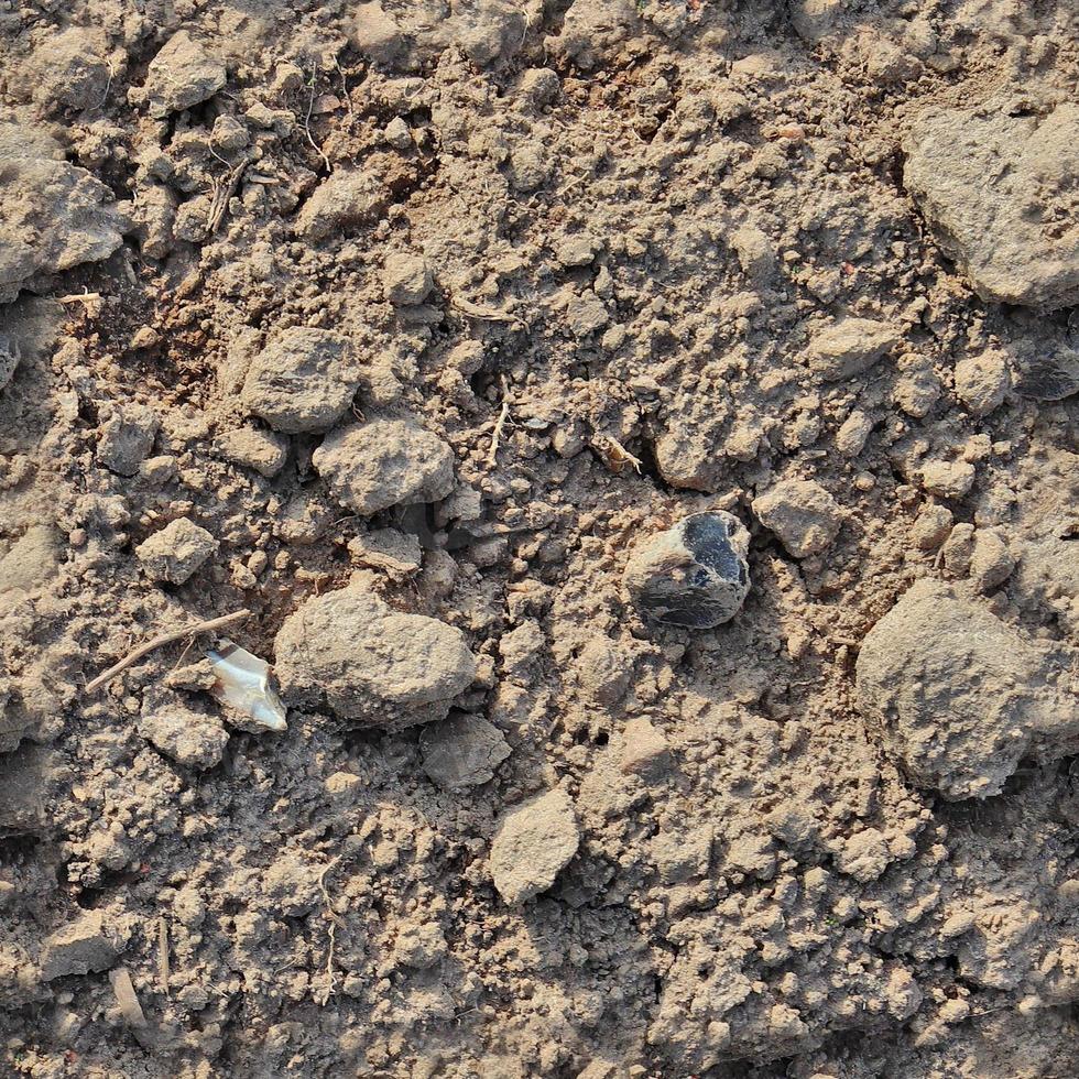 High resolution seamless texture of a dry acre grounds with cracks. photo