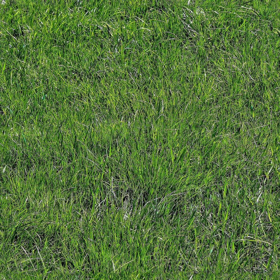 Photo realistic seamless grass texture in hires with more than 6 megapixel in size