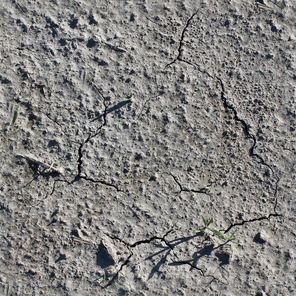 textura transparente de alta resolución de un terreno de acre seco con grietas. foto