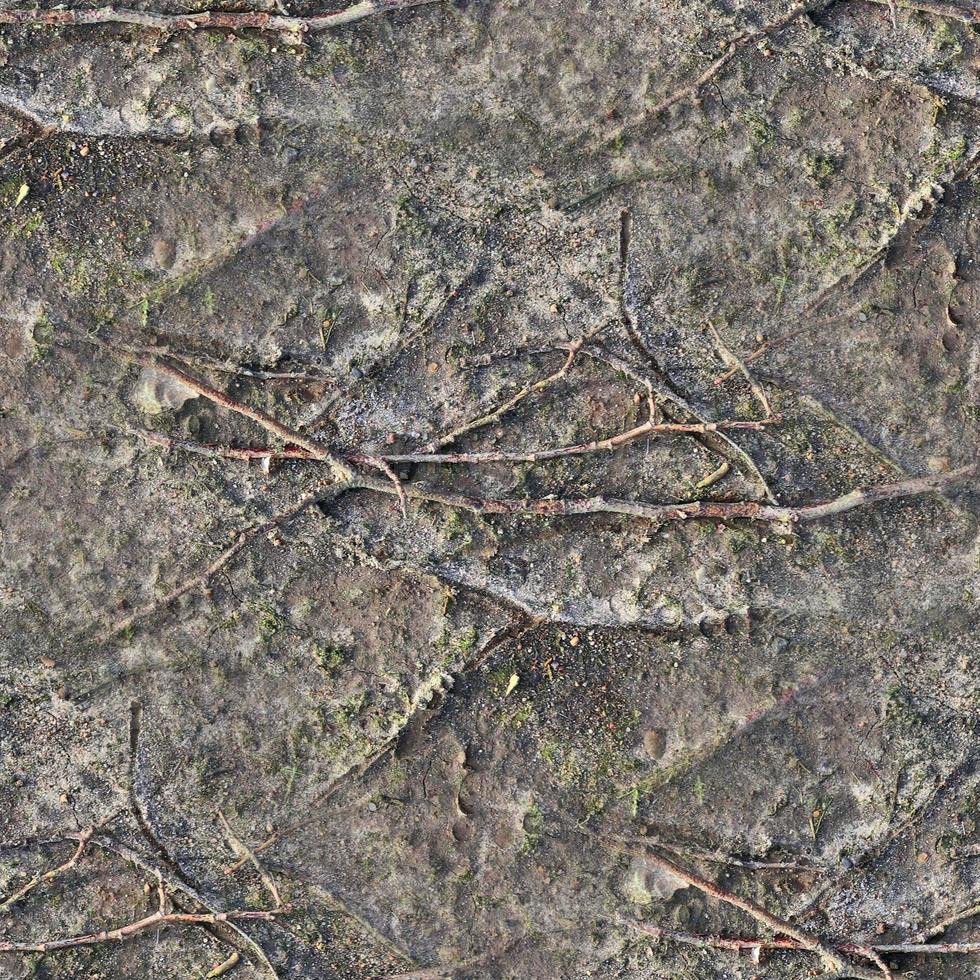 High resolution seamless texture of a dry acre grounds with cracks. photo