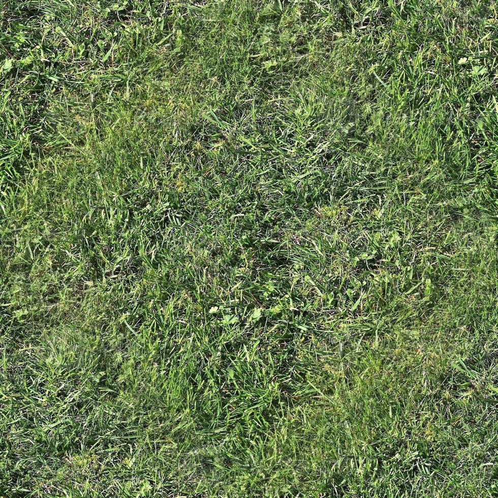 Photo realistic seamless grass texture in hires with more than 6 megapixel in size