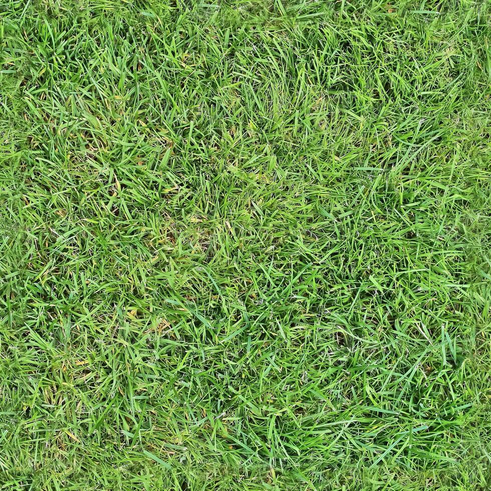 Photo realistic seamless grass texture in hires with more than 6 megapixel in size