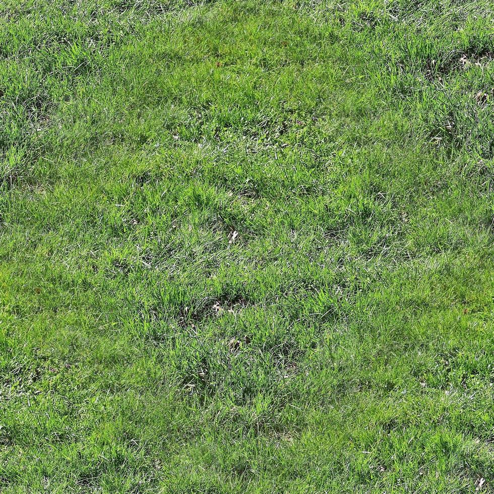 Photo realistic seamless grass texture in hires with more than 6 megapixel in size