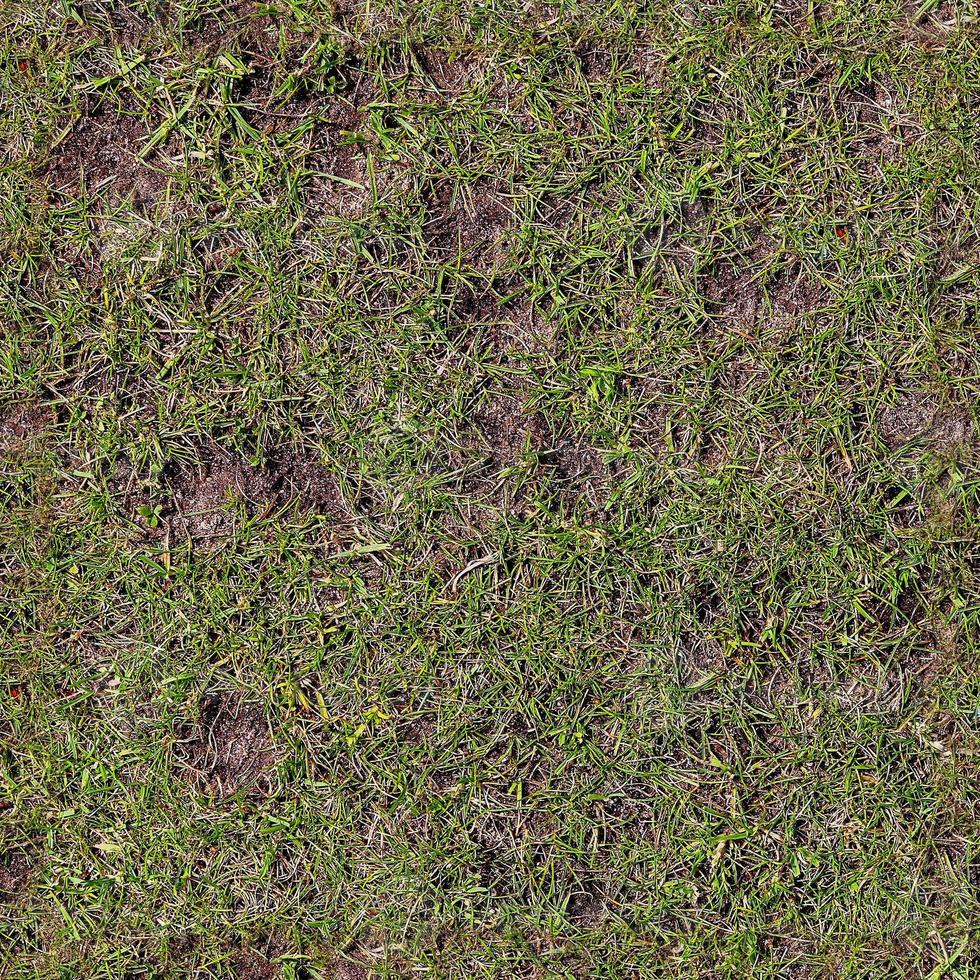 Photo realistic seamless grass texture in hires with more than 6 megapixel in size