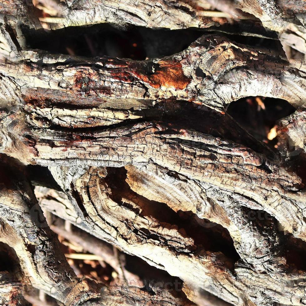 High resolution seamless texture of a forest ground with autumn leaves and nuts photo