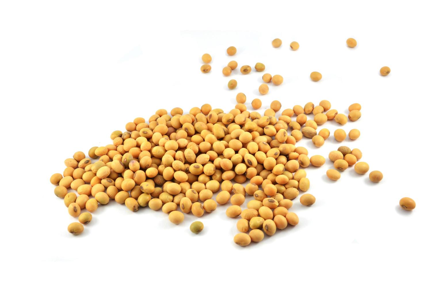 soybeans or soya beans grain seed on white background photo