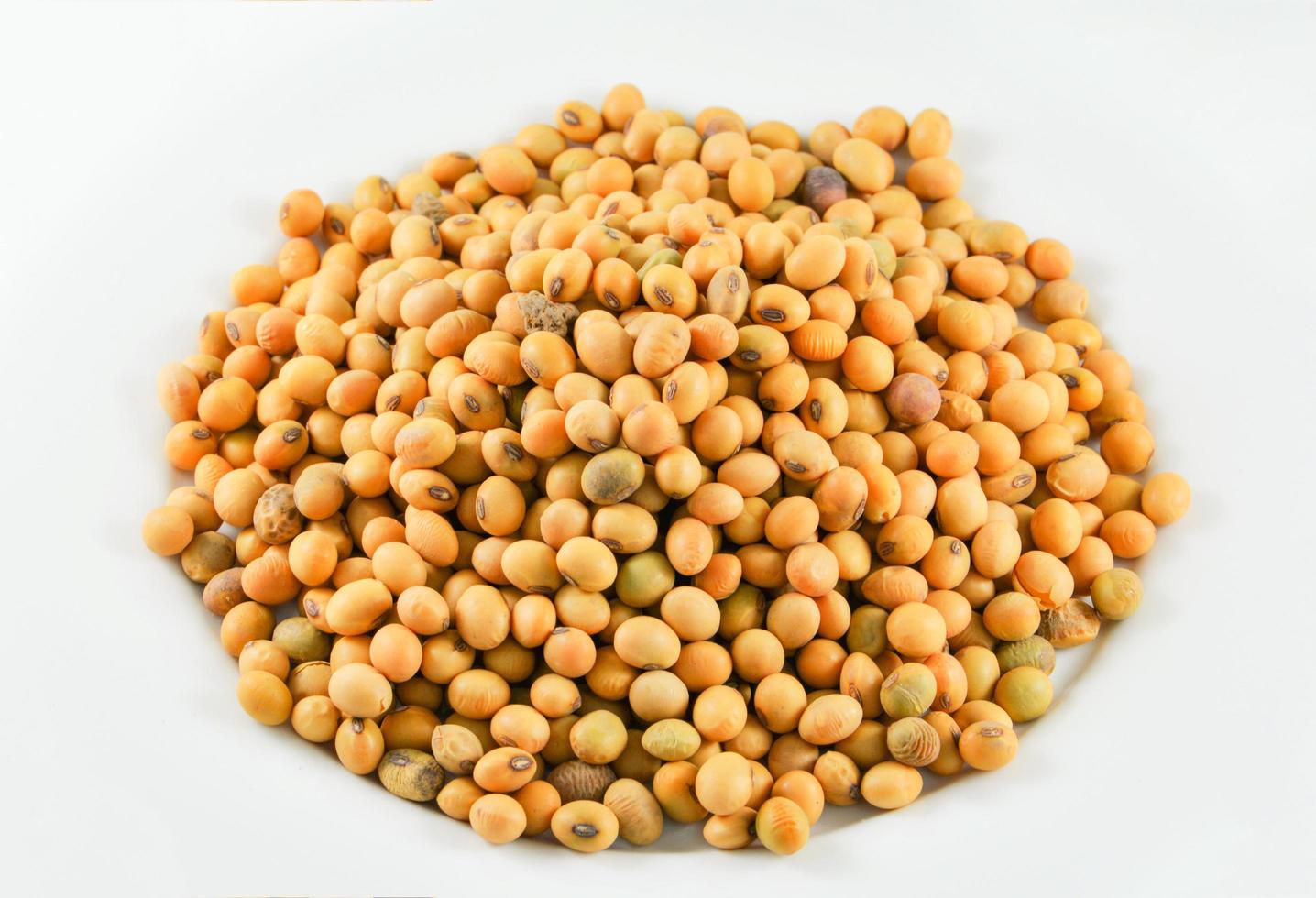 soybeans or soya beans grain seed on white background 17177529 Stock