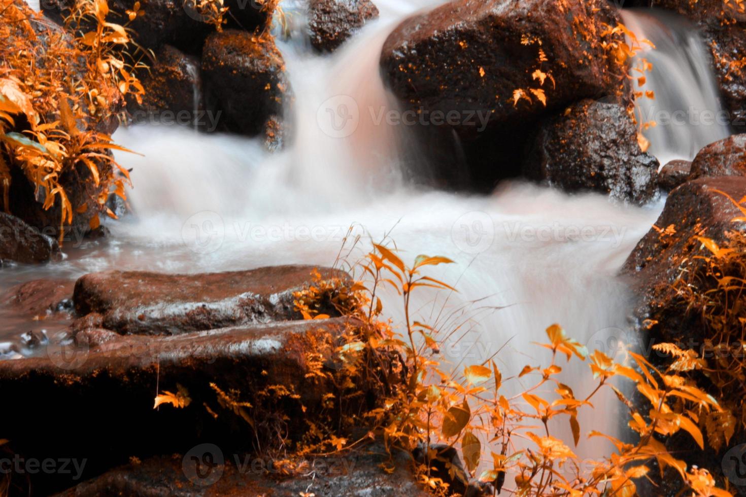 This is a beautiful photo of a stream of water flowing in a river in the village area.