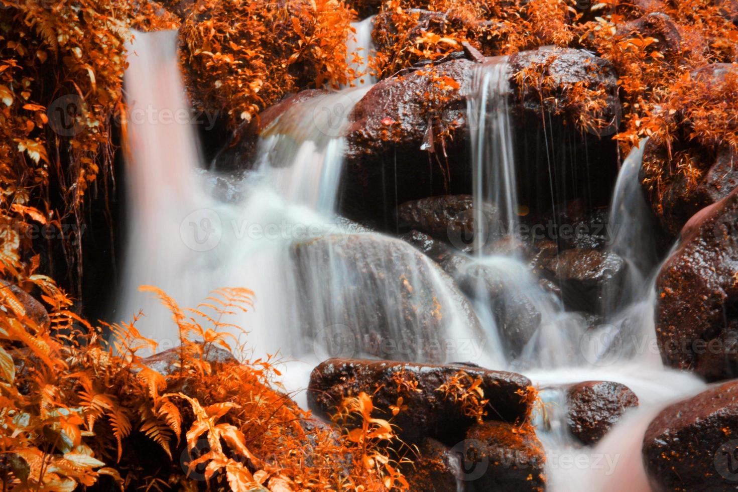 This is a beautiful photo of a stream of water flowing in a river in the village area.
