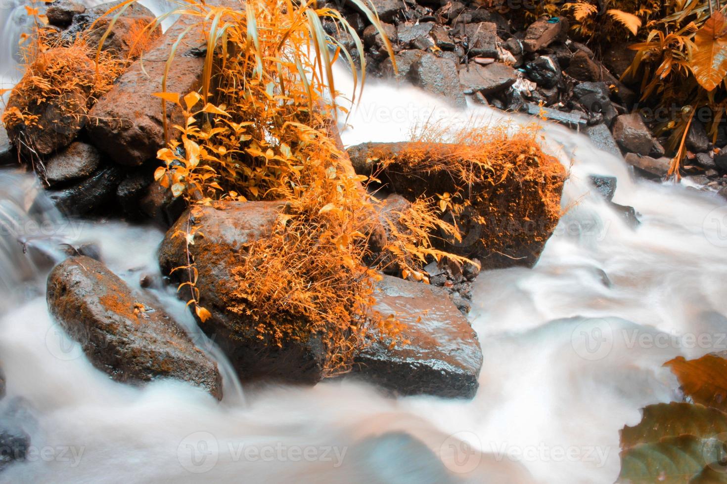 This is a beautiful photo of a stream of water flowing in a river in the village area.
