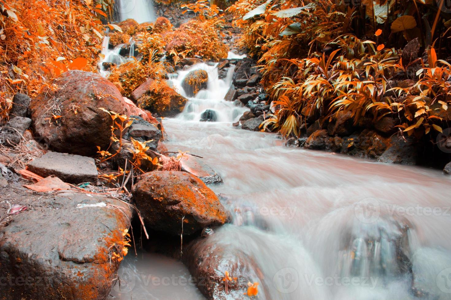 This is a beautiful photo of a stream of water flowing in a river in the village area.