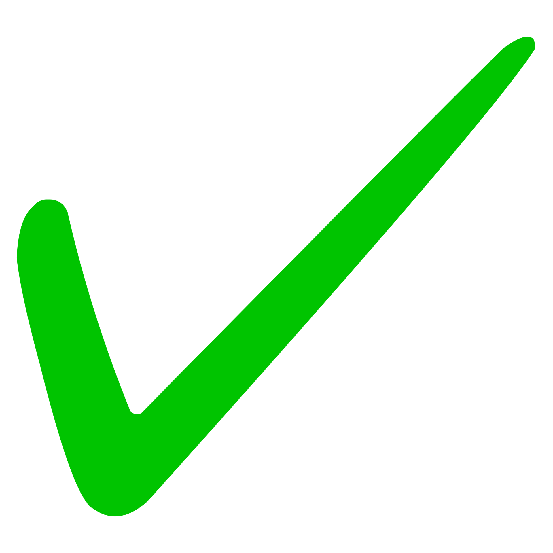 Green Tick Check Mark on Transparent Background 17177781 PNG