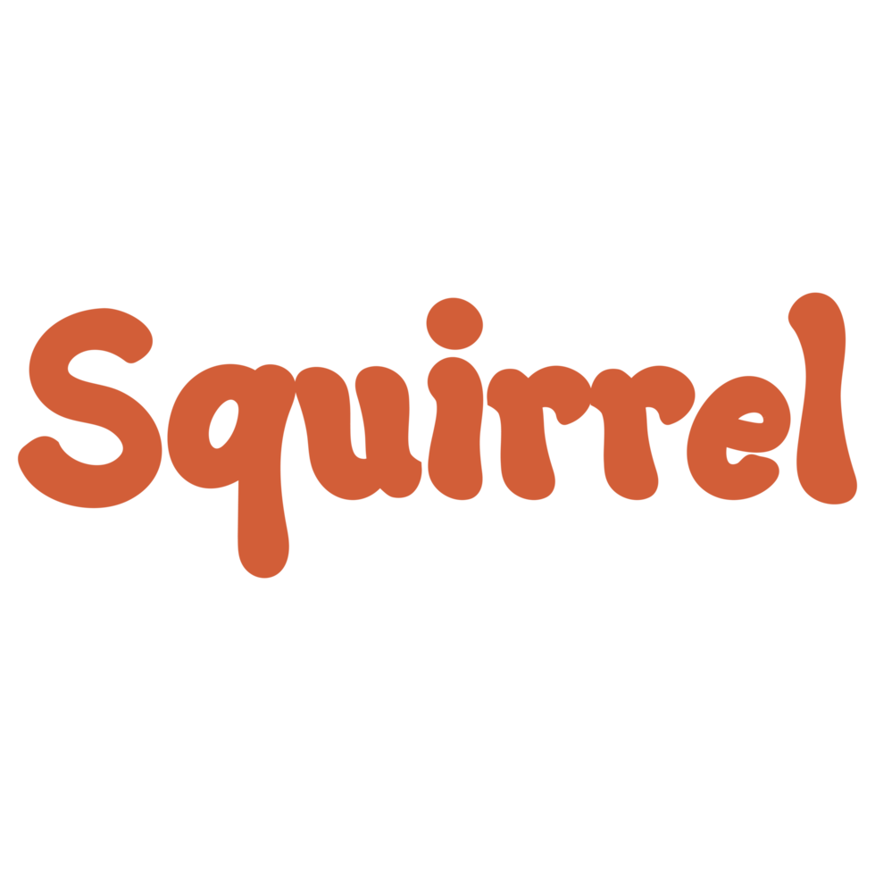 Squirrel Animal Name Lettering Concept On Transparent Background squirrel-animal-name-lettering-concept-on-transparent-background