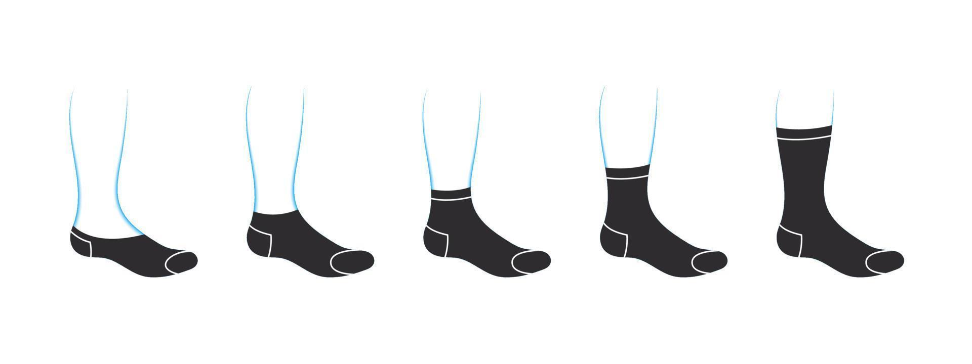 Types of men s socks. Set with various forms of socks. Garment