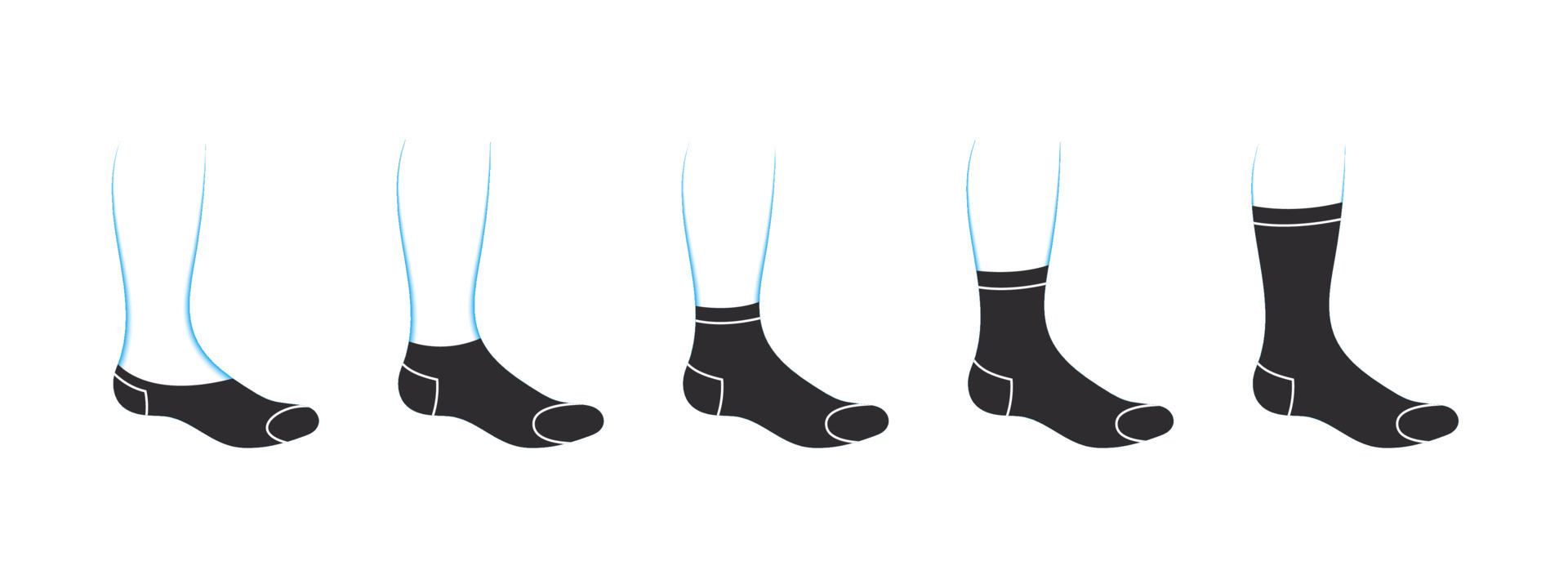Types of men s socks. Set with various forms of socks. Garment