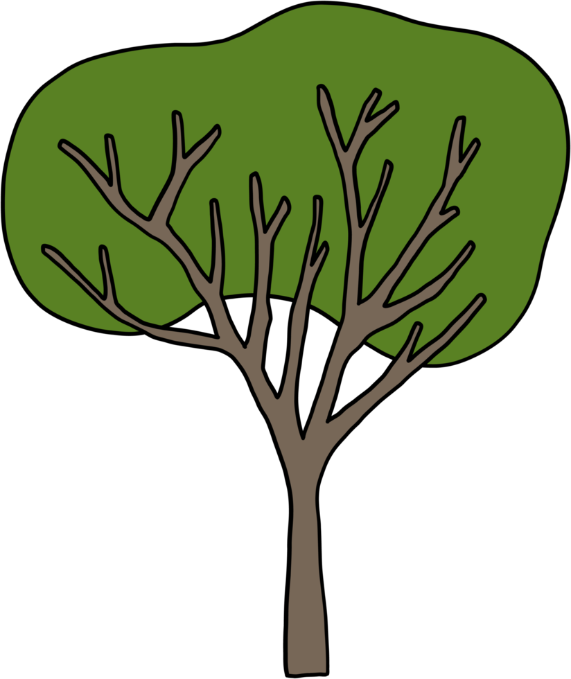 simplicity tree freehand drawing flat design. png