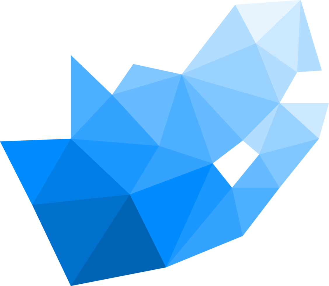 Polygonal South Africa map on transparent background. png