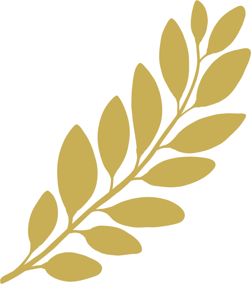 simplicity floral freehand drawing. png