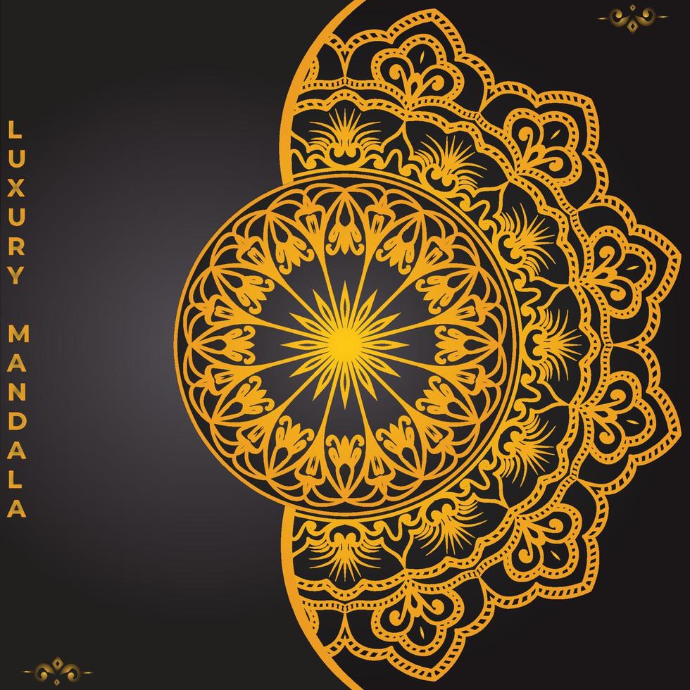 Luxury mandala design background template vector