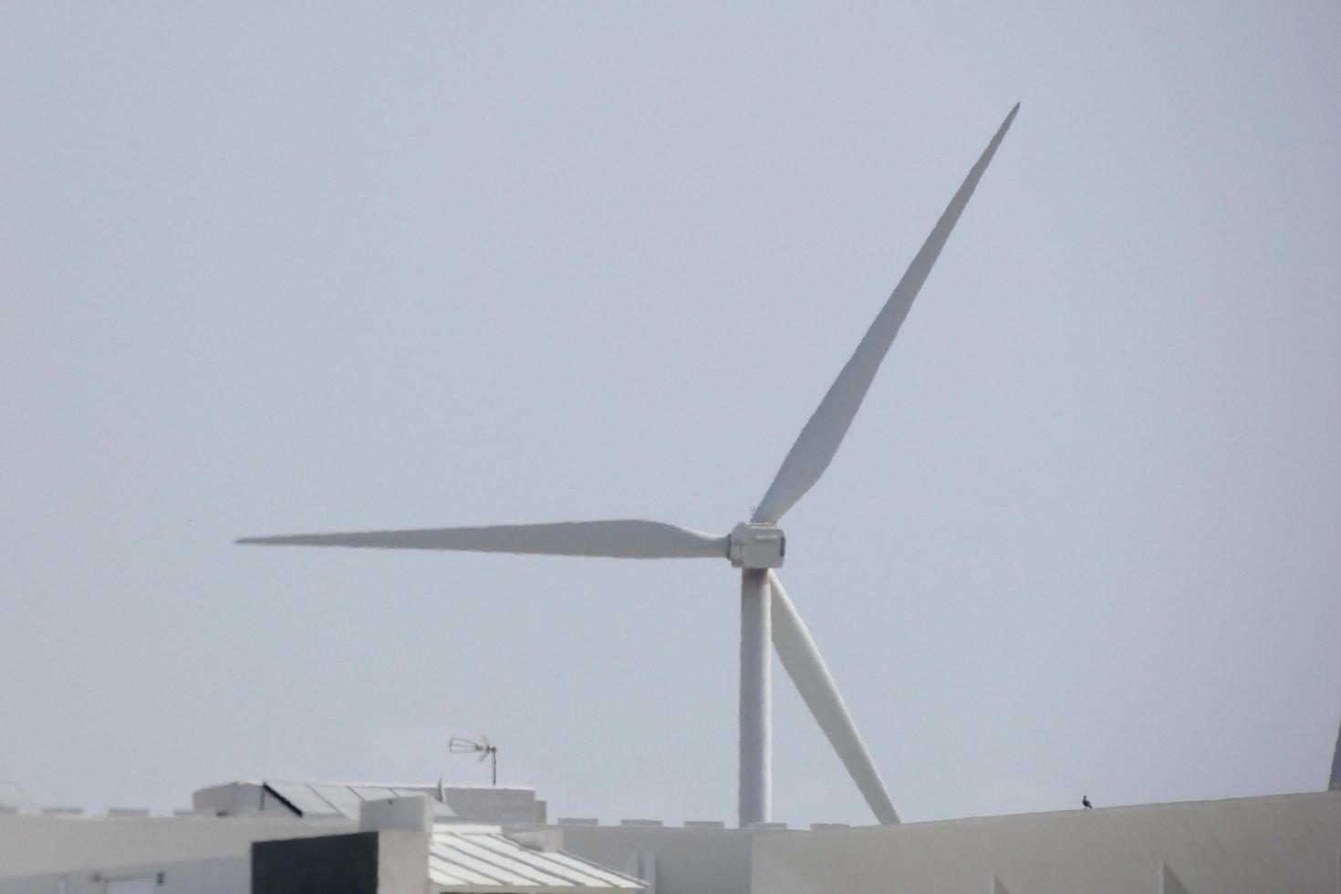 molinos de viento para generación de energía eléctrica no contaminante foto
