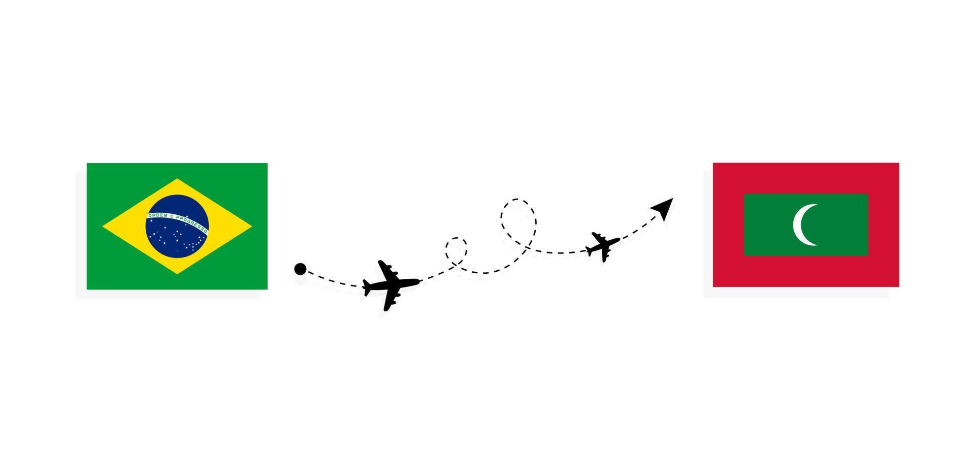 vuelo y viaje desde brasil a maldivas por concepto de viaje en avión de pasajeros vector