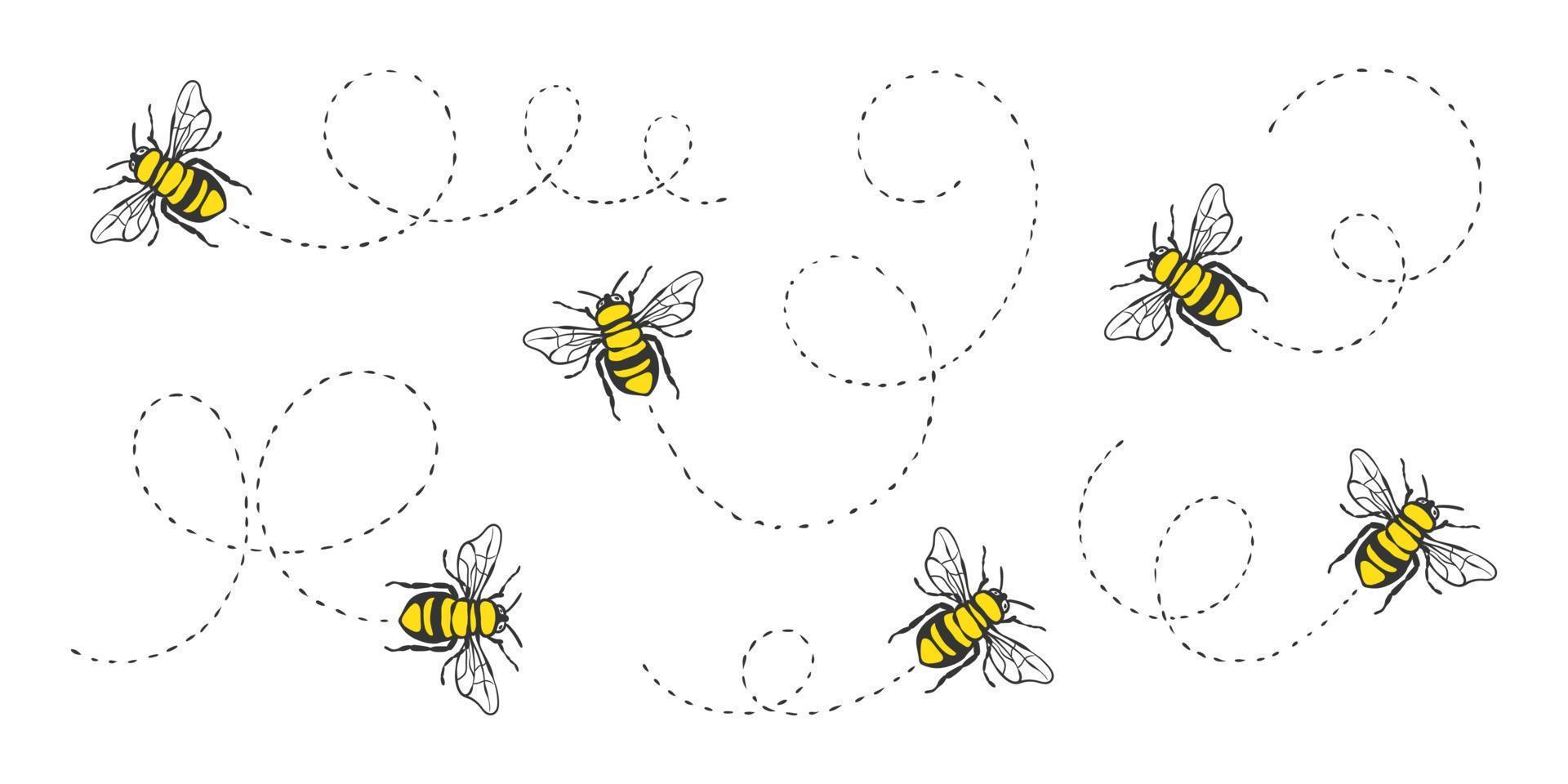 abeja volando. abejas pintadas. abeja volando en una ruta punteada. ilustración vectorial vector