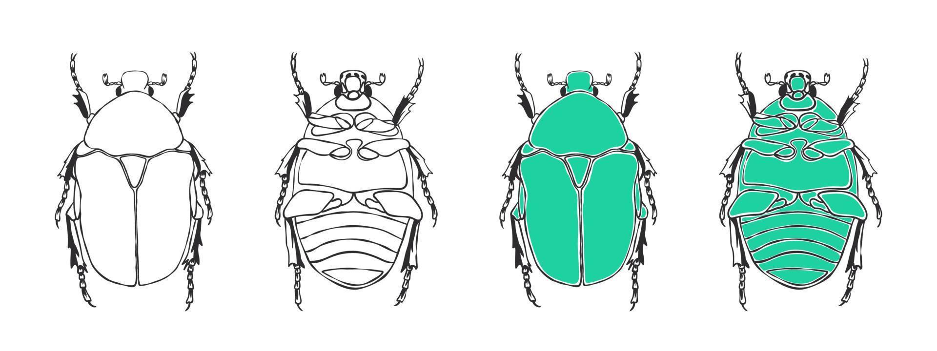 Beetle icons. Hand drawn sketched Beetle. Doodle beetles. Vector illustration