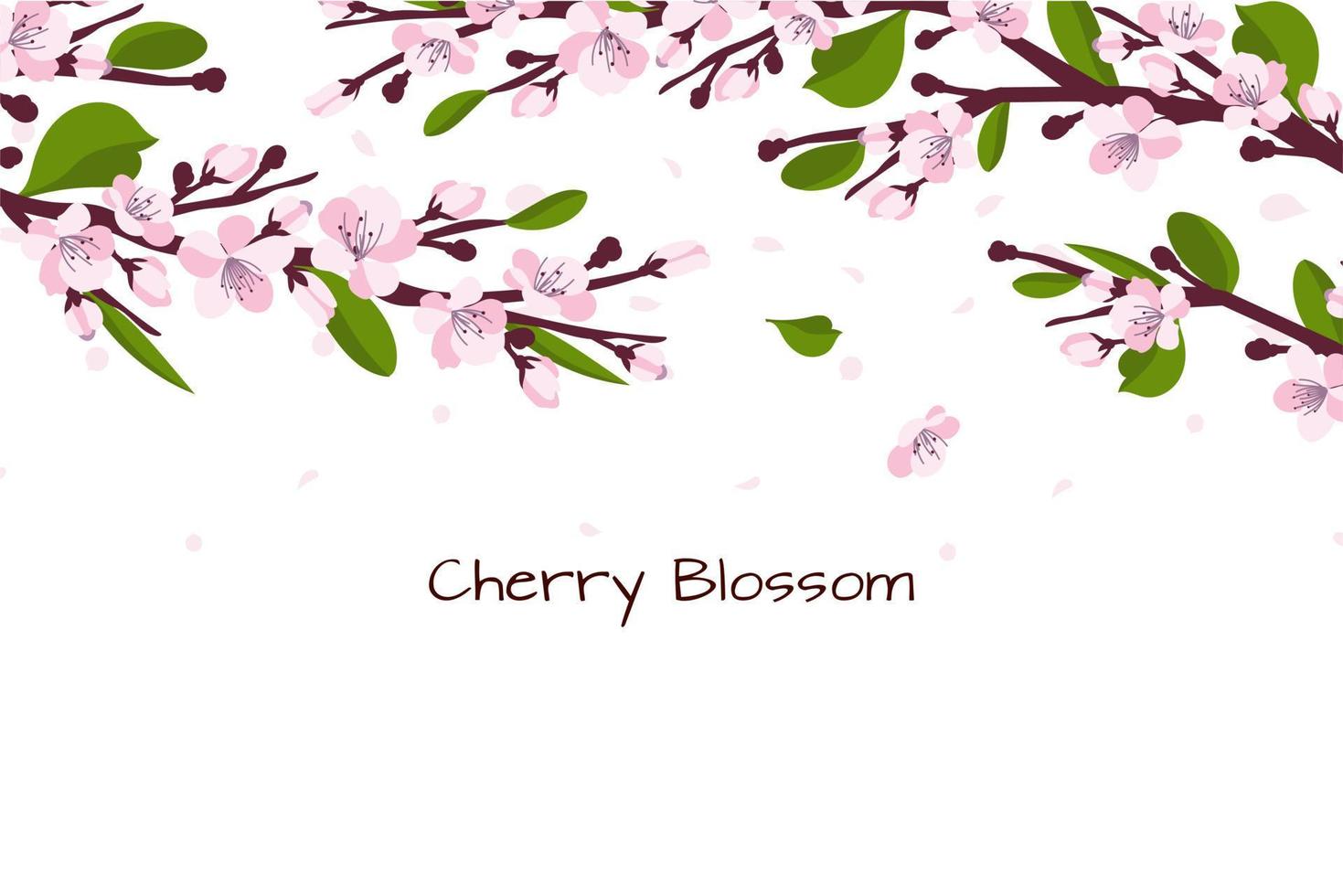 Background with cherry blossom. A branch with cherry blossoms isolated on a white background. Japanese sakura. Vector illustration