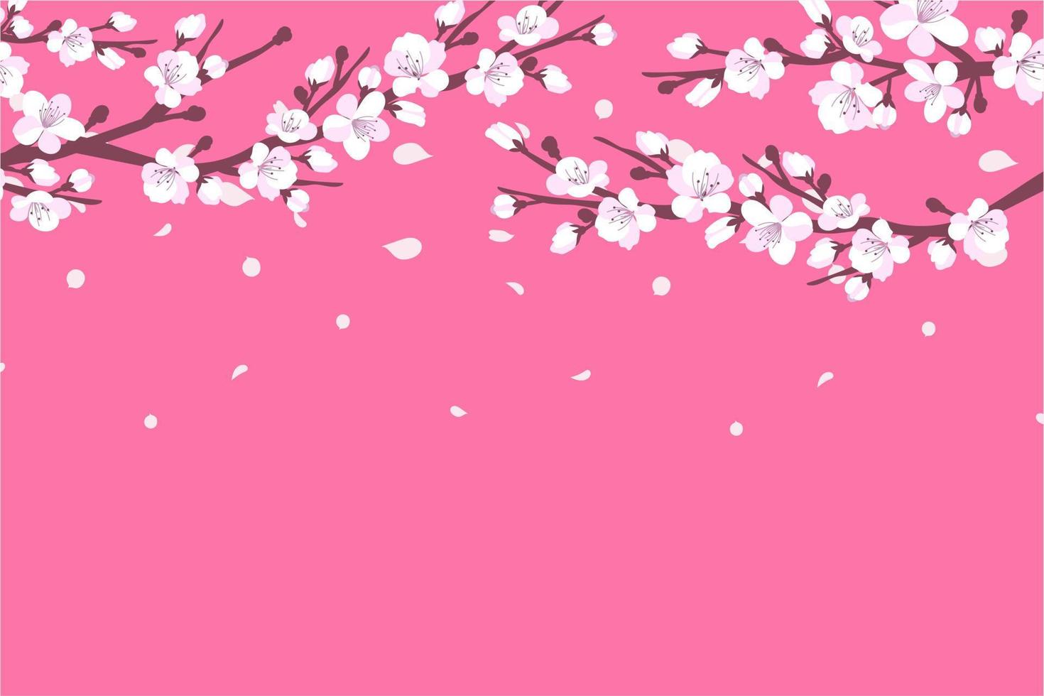 fondo con flor de cerezo. una rama con flores de cerezo aislada en un fondo blanco. sakura japonés. ilustración vectorial vector