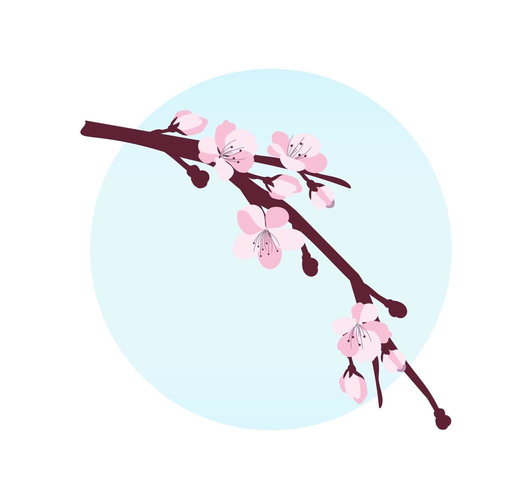 flor de cerezo. una rama con flores de cerezo aislada en un fondo blanco. ilustración vectorial vector