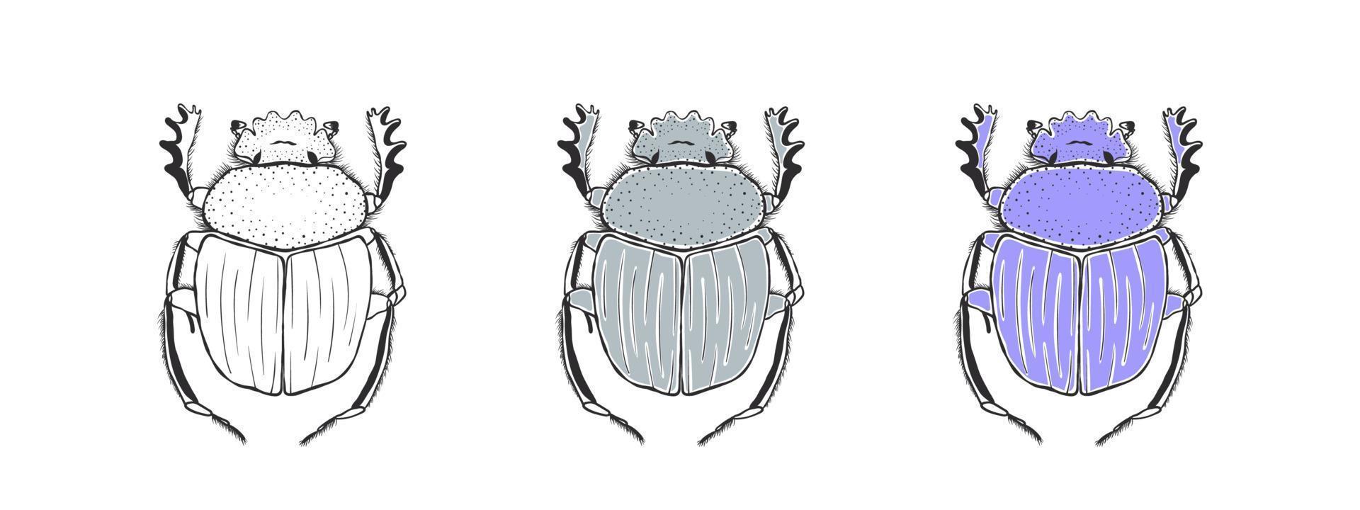 Sacred scarab. Hand drawn sketched Beetle. Doodle beetles. Vector illustration