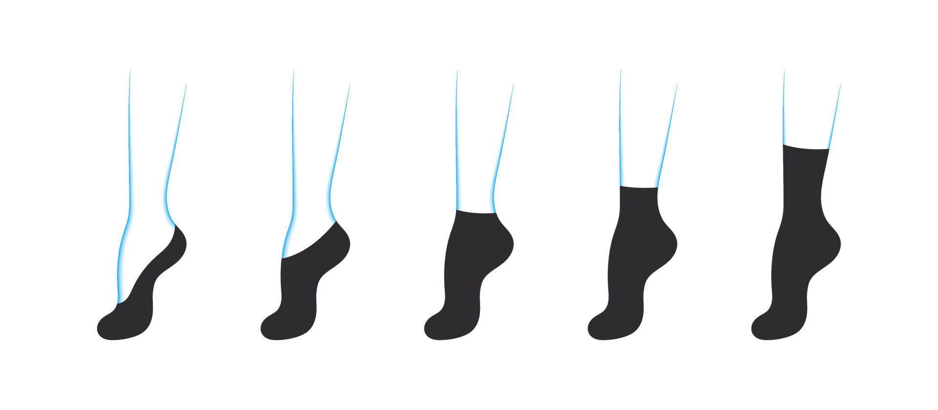 tipos de calcetines de mujer. conjunto con varias formas de calcetines. iconos de prendas de vestir. ilustración vectorial 17182070 Vector en Vecteezy tipos de calcetines de mujer. conjunto con varias formas de calcetines. iconos de prendas de vestir. ilustración vectorial 17182070 Vector en Vecteezy