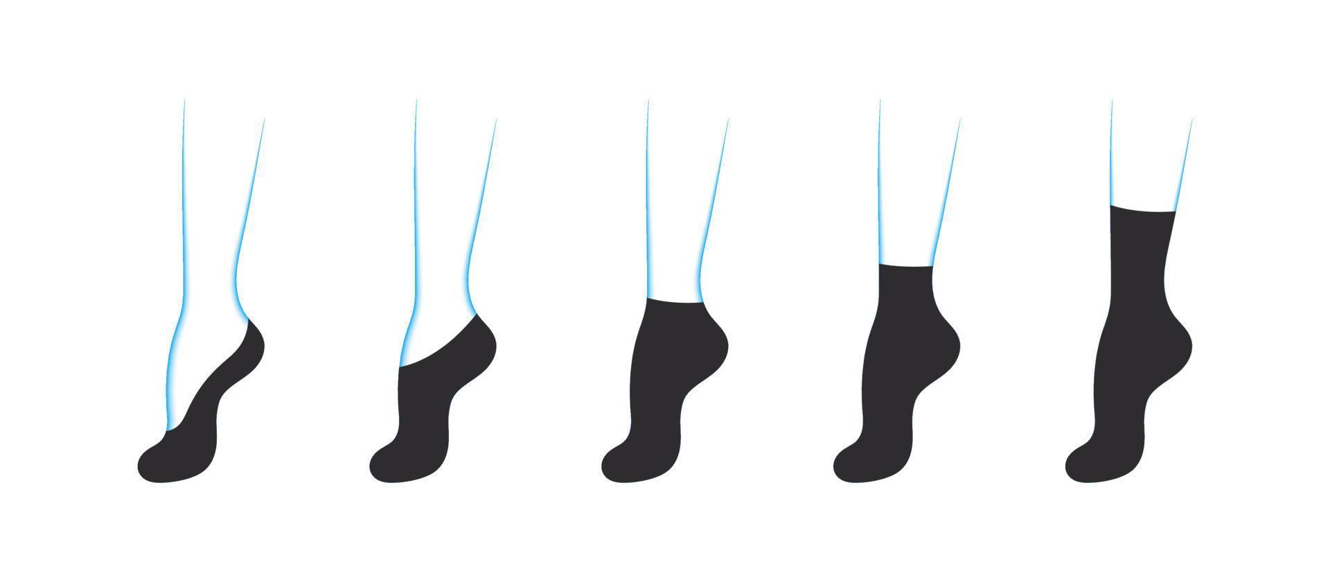 Types of women's socks. Set with various forms of socks. Garment icons. Vector illustration