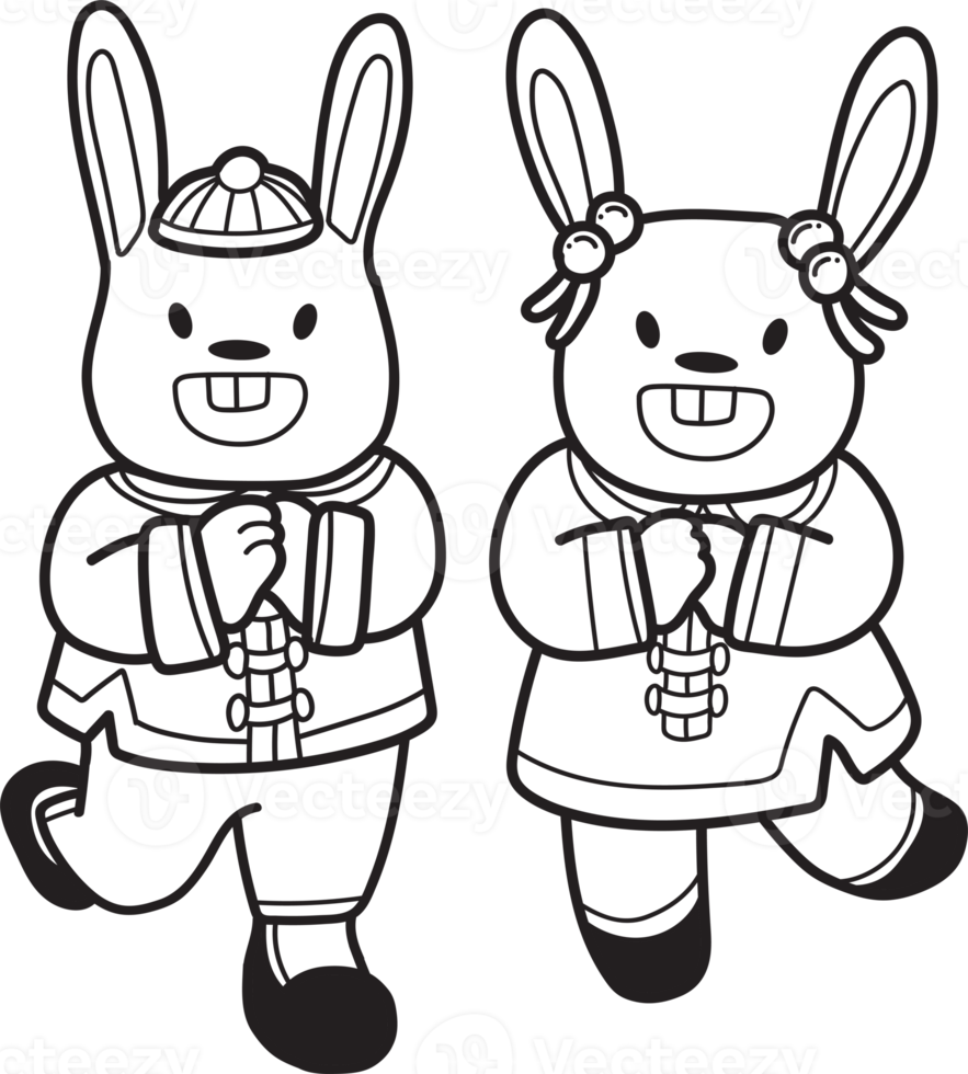Hand Drawn Chinese rabbit smiling and happy illustration png