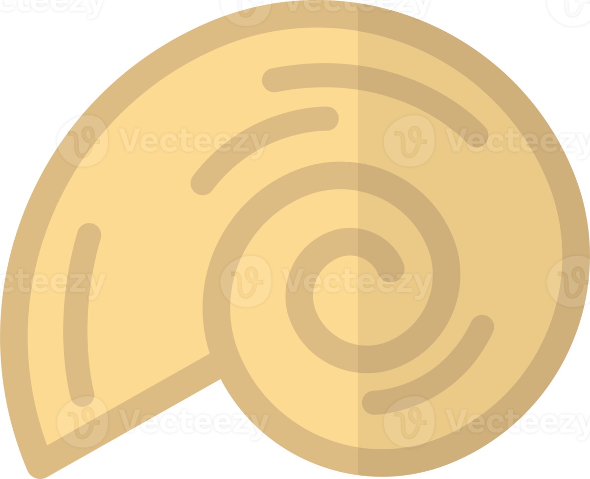 nautilus shell illustration in minimal style png