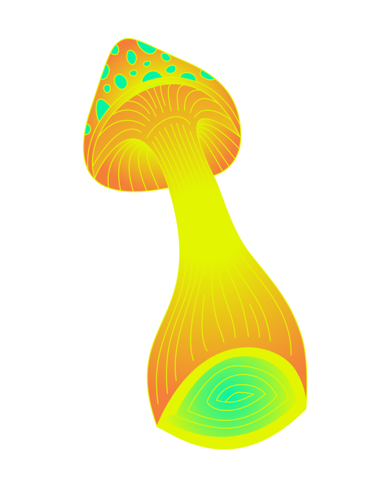 Orange and Yellow Trippy Mushroom Drawing png