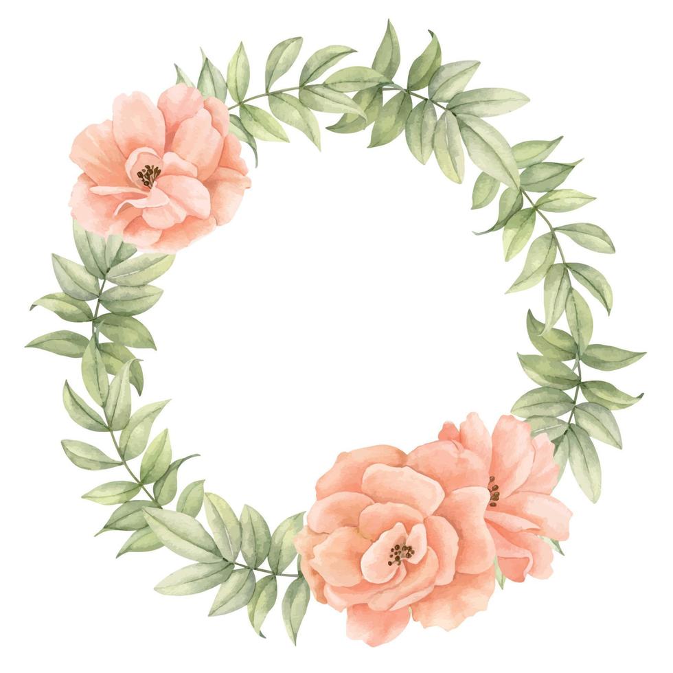 corona floral acuarela con flores de rosa rosa melocotón y hojas verdes. marco circular para tarjetas de felicitación o invitaciones de felicitación, ilustración botánica dibujada a mano sobre un fondo aislado. peonía beige. vector