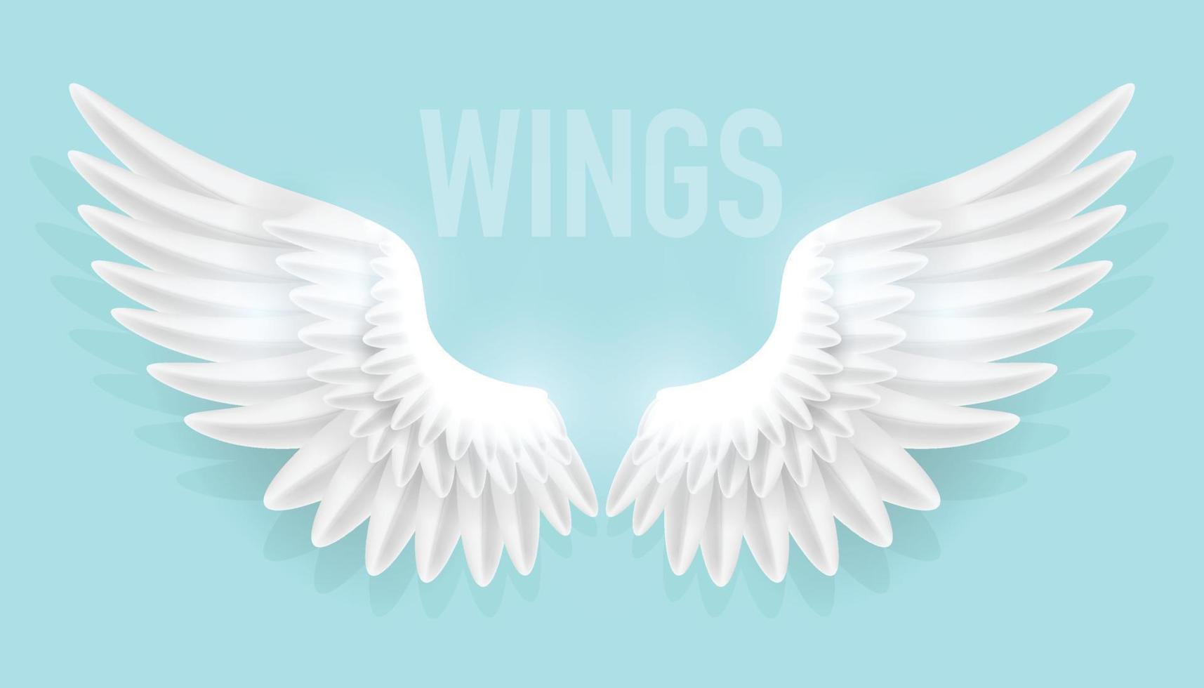 ilustración vectorial de alas de ángel realistas aisladas sobre fondo liso vector