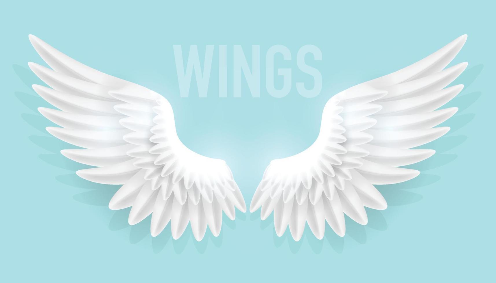 Vector illustration of realistic angel wings isolated on plain background