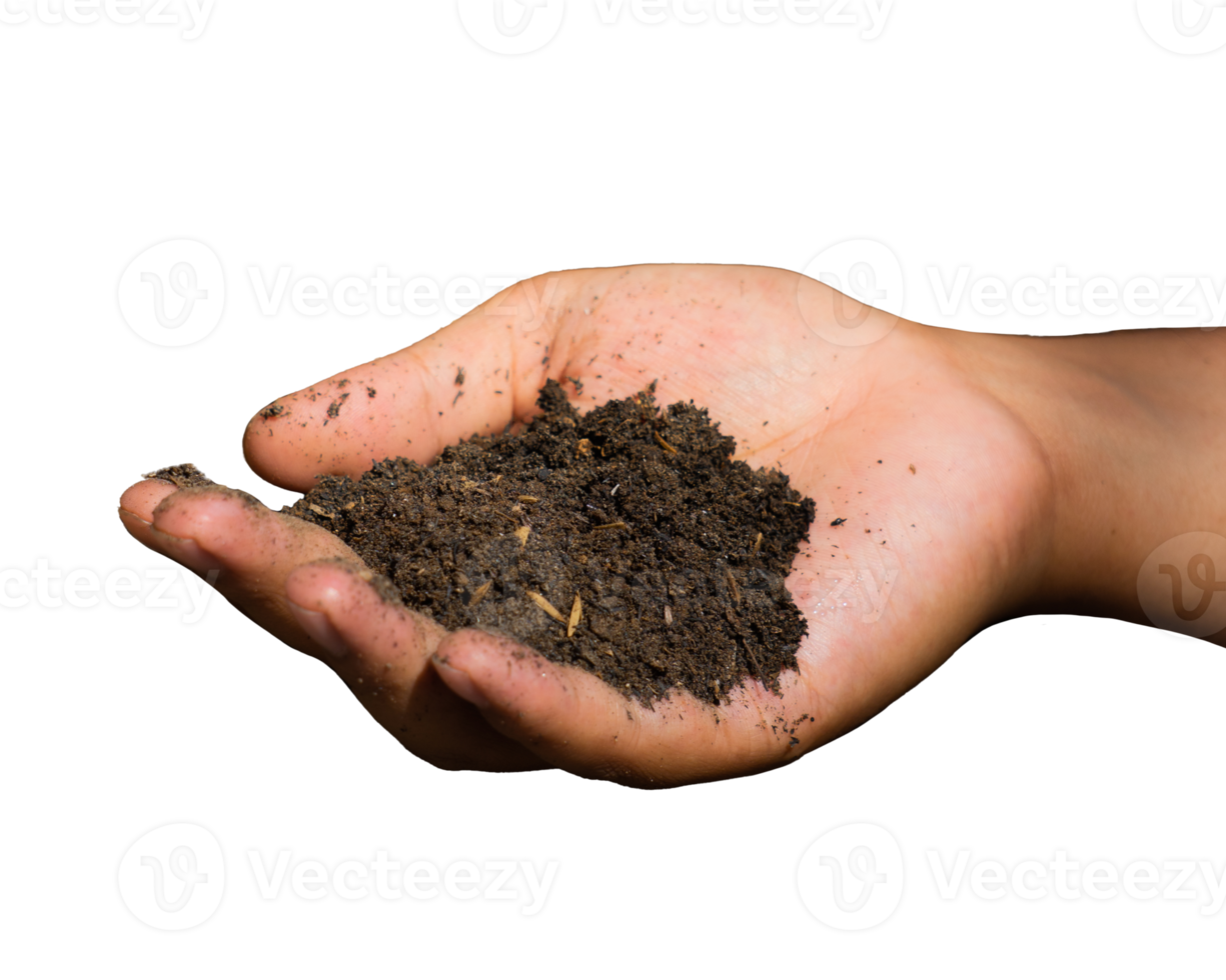 handful of soil isolated png