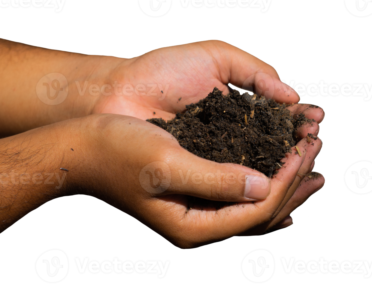 soil in hand isolated png