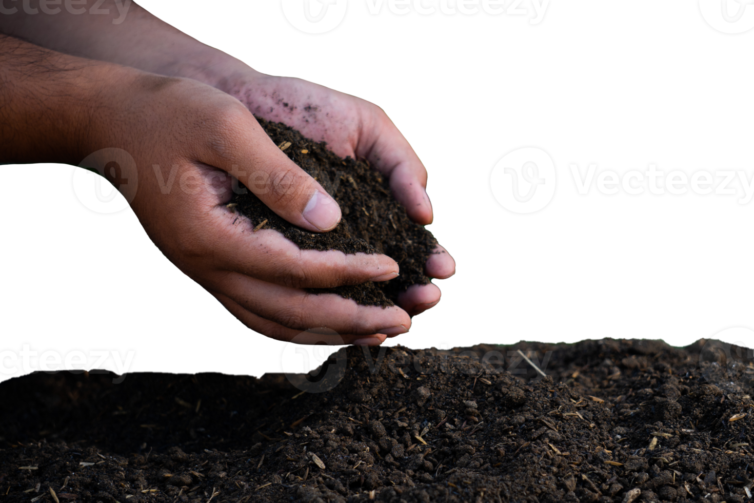 hands holding soil for planting seeds png